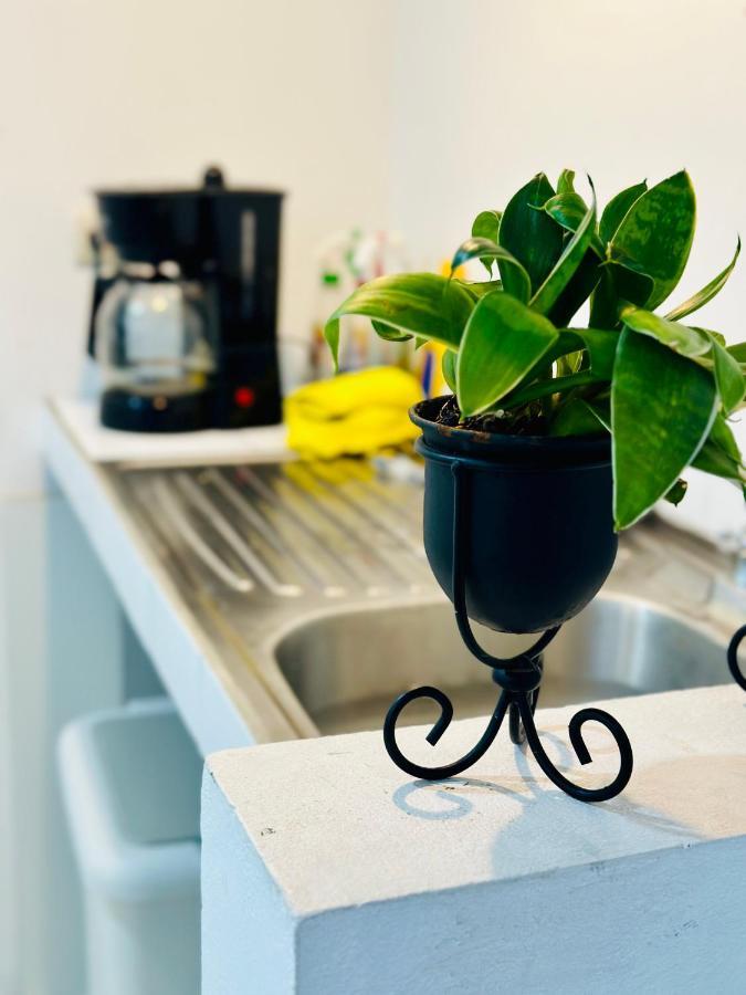 Sjo Oasis Hostel Сан Хосе Екстериор снимка
